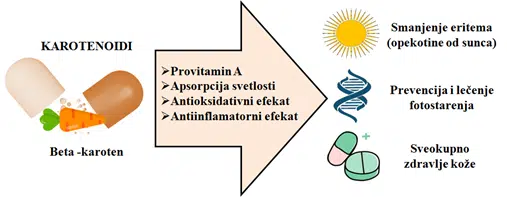 Beta karoten- karotenoidi